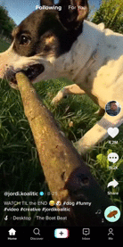 ezgif.com-crop.gif